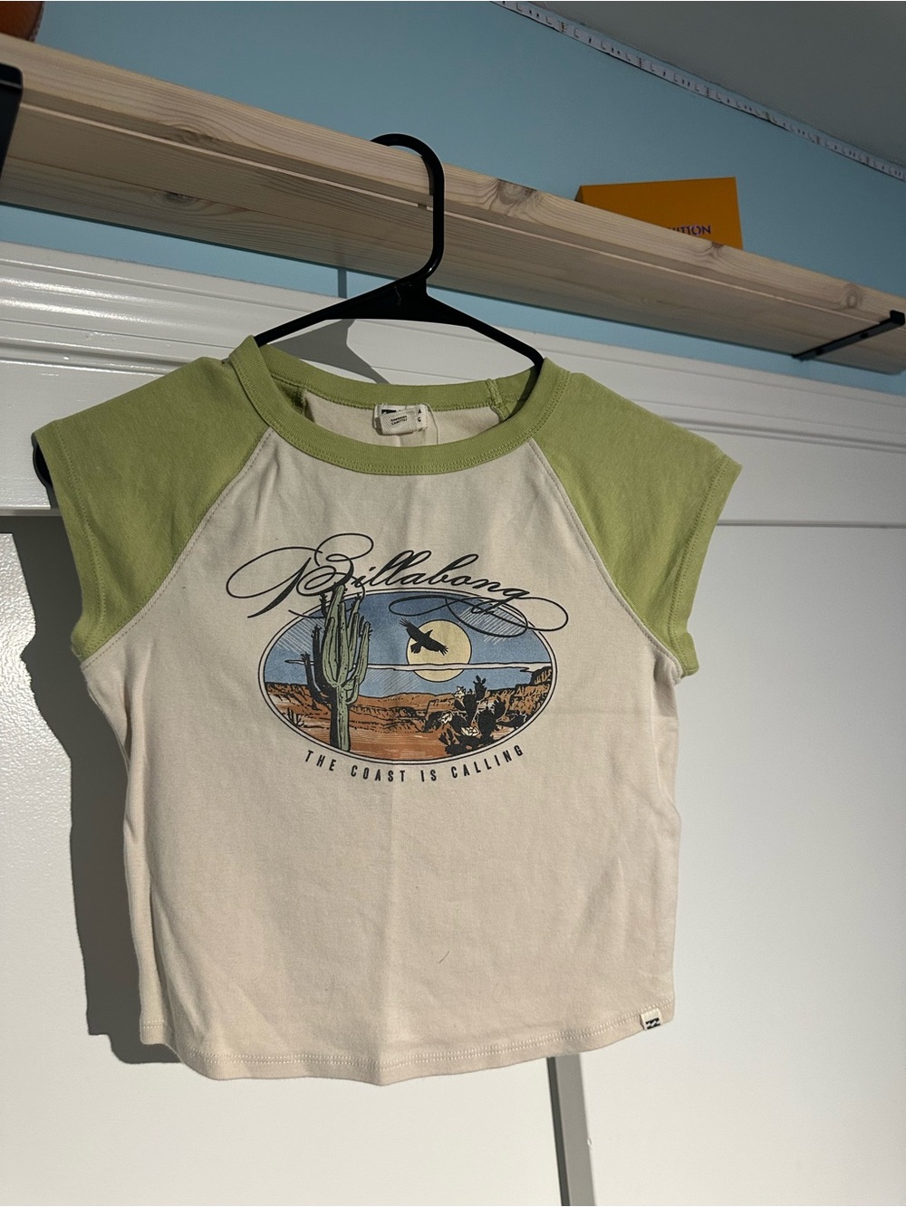 Billabong Cream Tee with Light Green Raglan Sleeves and Desert Graphic